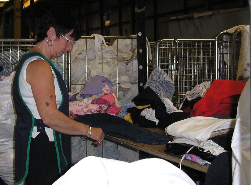 One of our experienced sorters hard at work