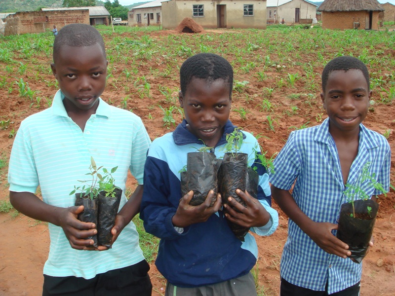 Schoolchildren helping out with the tree planting