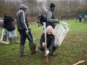 52 volunteers participated and 1,000 trees were planted