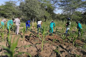 Working On The Land