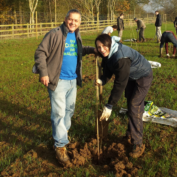 UK Tree PlantingGIMP